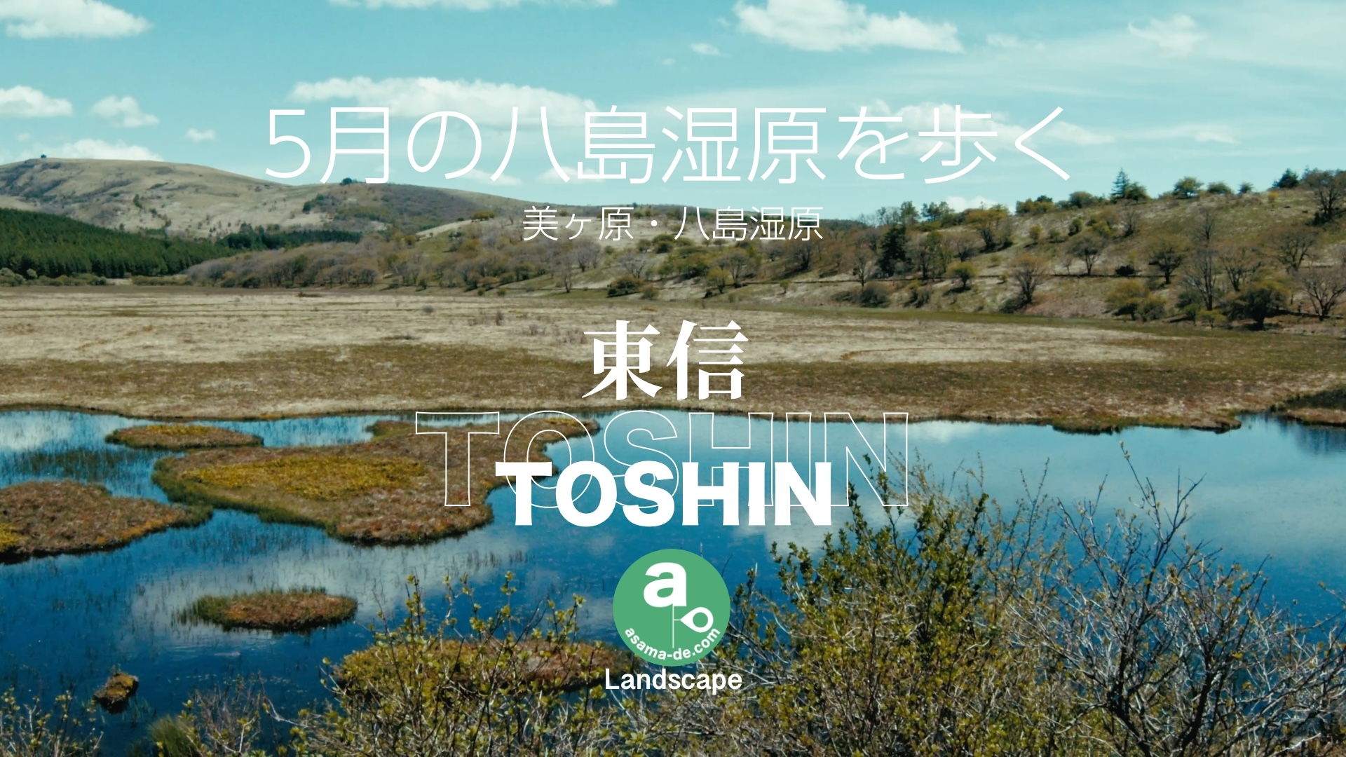 Image is not available