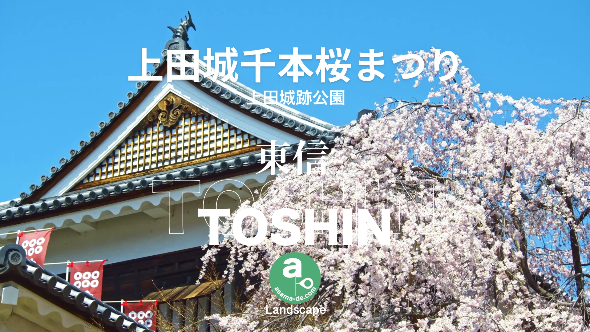 Image is not available