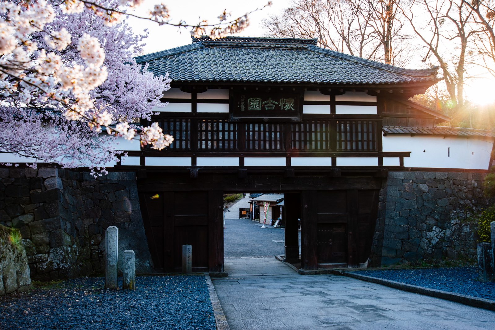 小諸懐古園の三の門と桜