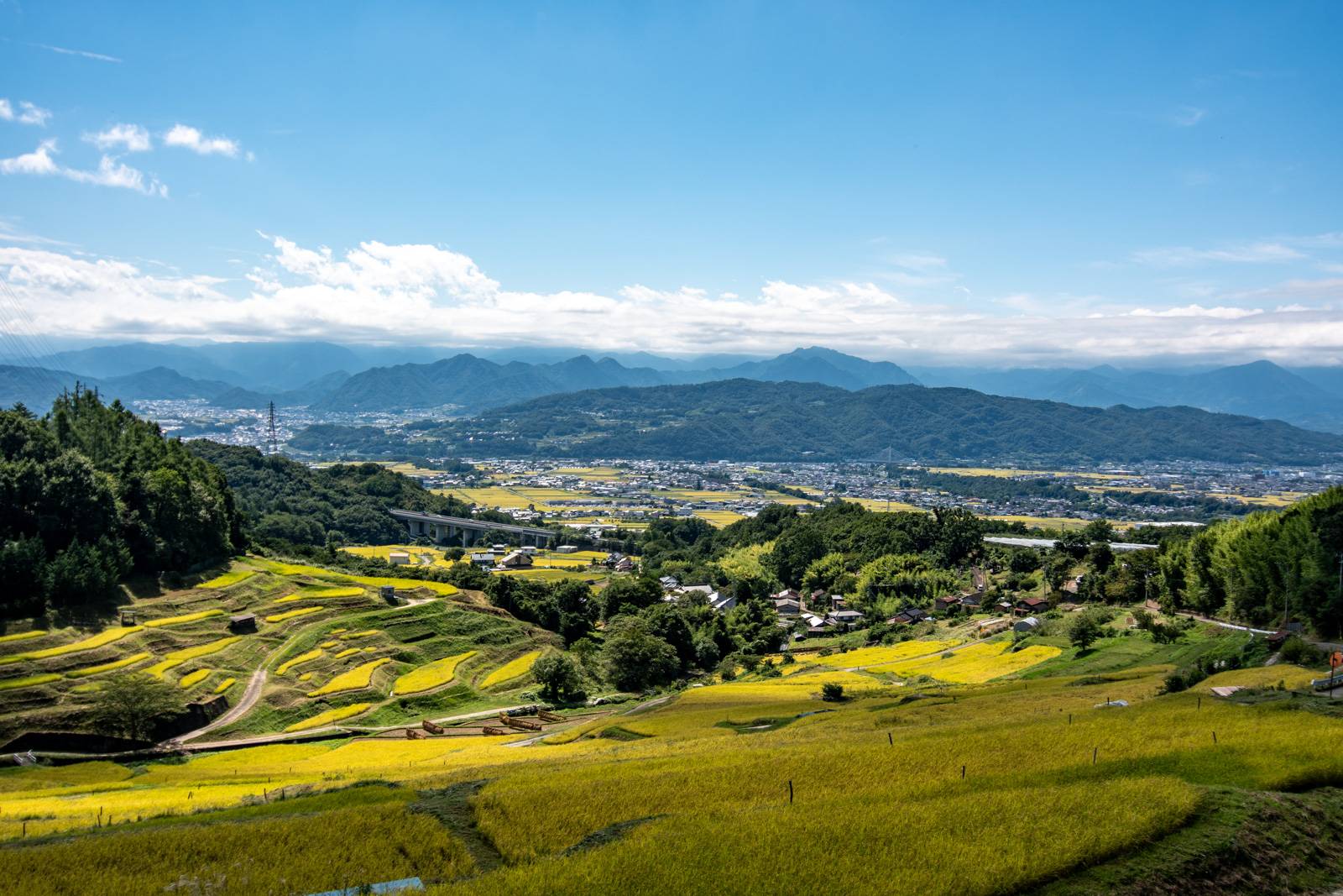 稲倉の棚田